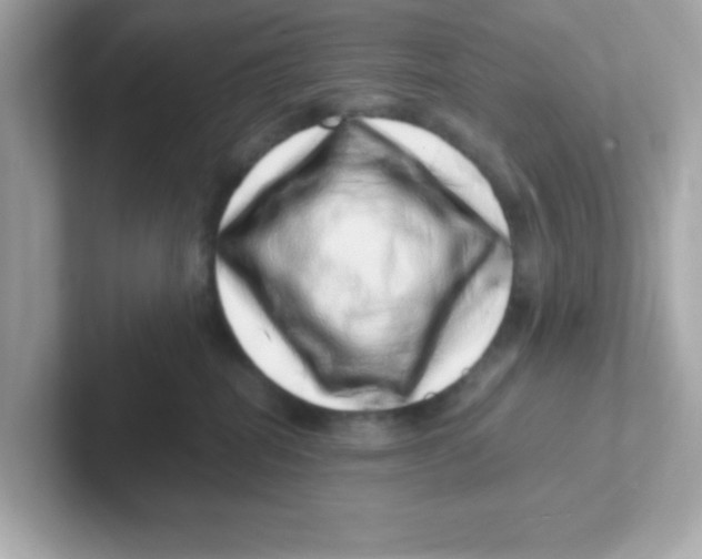 X0000101100282200807241034