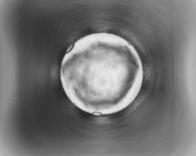 X0000101100283200807241034