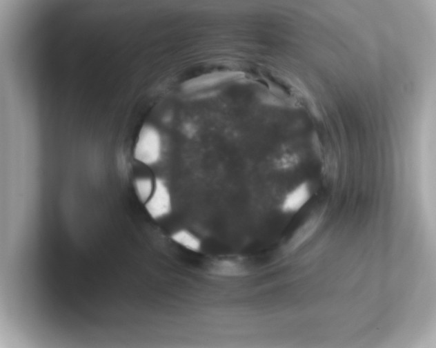 X0000101100285200807241034