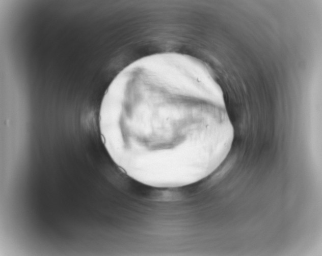 X0000101100286200807241034