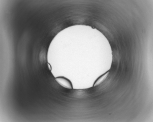 X0000101100287200807241034