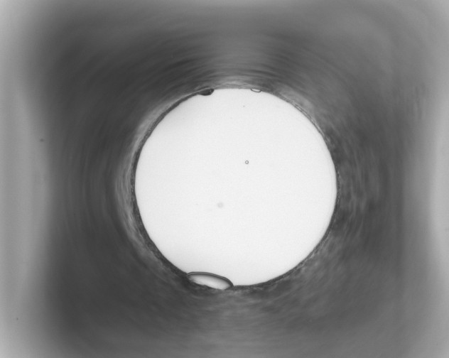 X0000101100289200807241033
