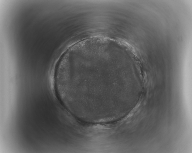X0000101100290200807241033