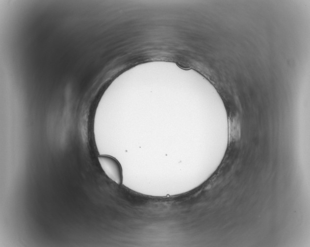 X0000101100291200807241033