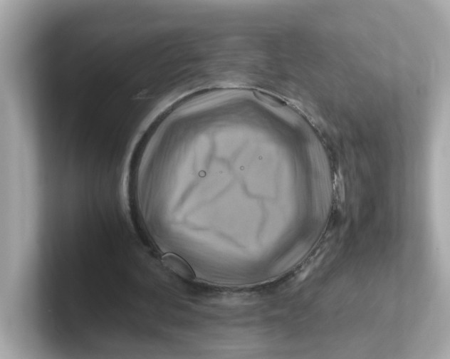 X0000101100292200807241033