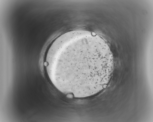 X0000101100293200807241033