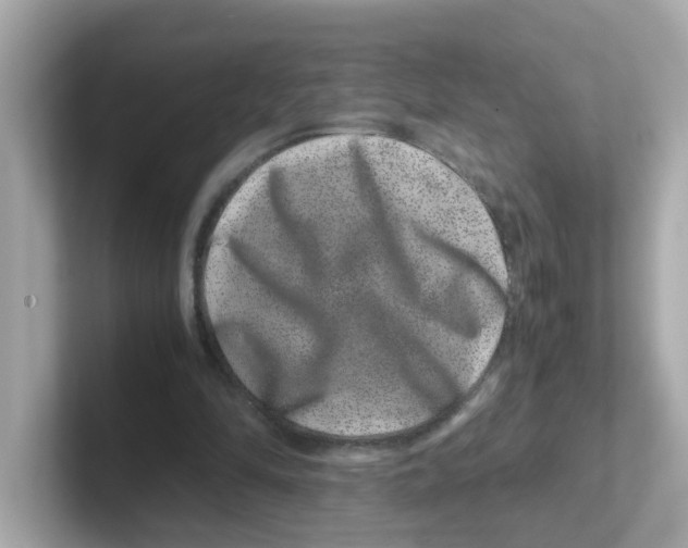 X0000101100294200807241033