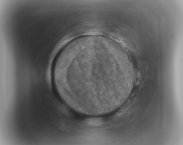 X0000101100296200807241033