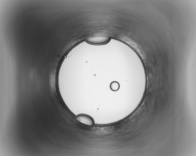 X0000101100297200807241033