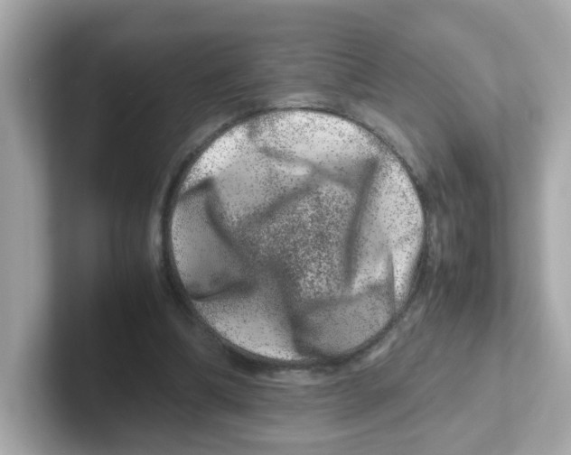 X0000101100298200807241033