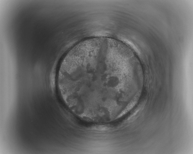 X0000101100299200807241033