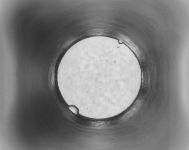 X0000101100301200807241033