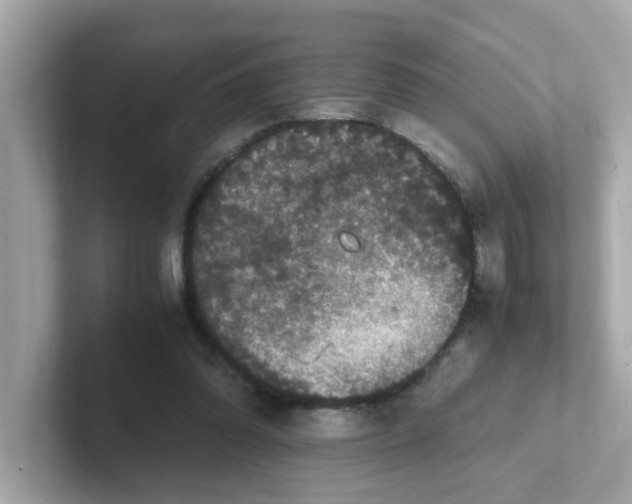 X0000101100302200807241033