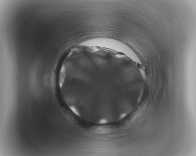 X0000101100303200807241033
