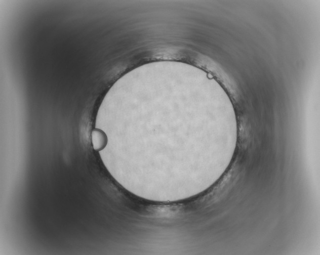 X0000101100305200807241033