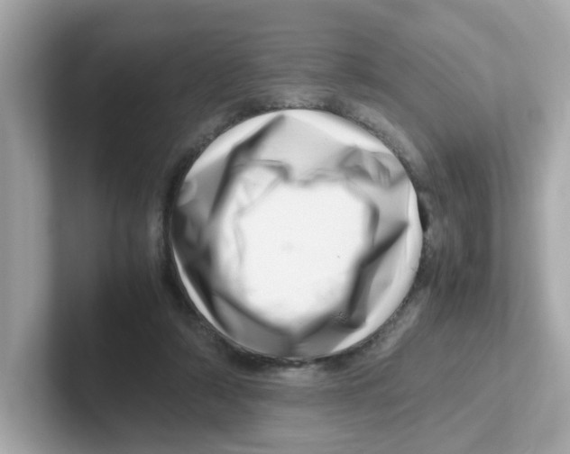 X0000101100306200807241033