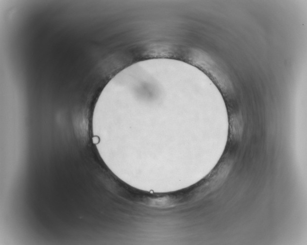 X0000101100309200807241033