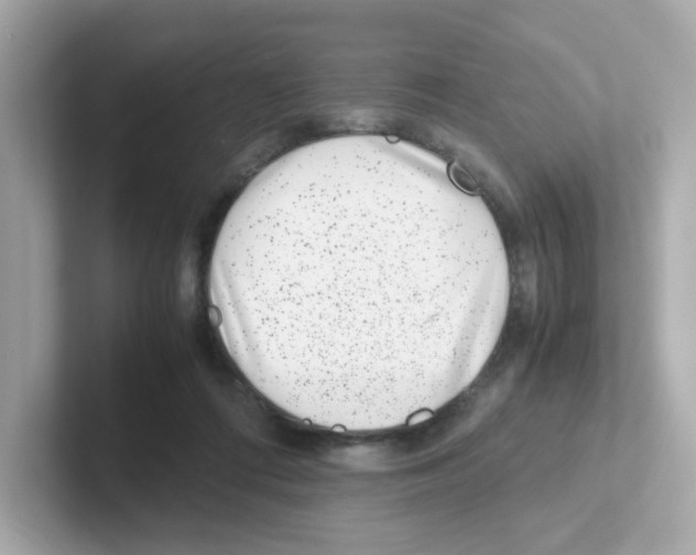 X0000101100312200807241033