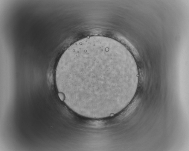 X0000101100313200807241033