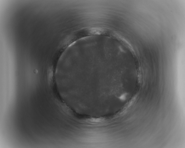 X0000101100314200807241033