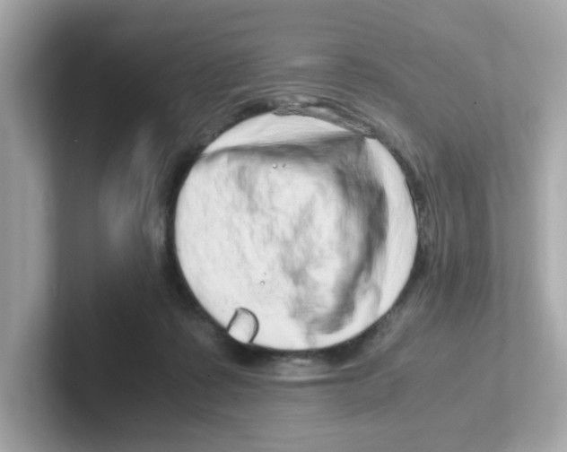 X0000101100315200807241033