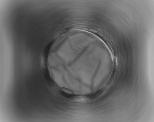 X0000101100316200807241033