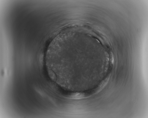 X0000101100319200807241033