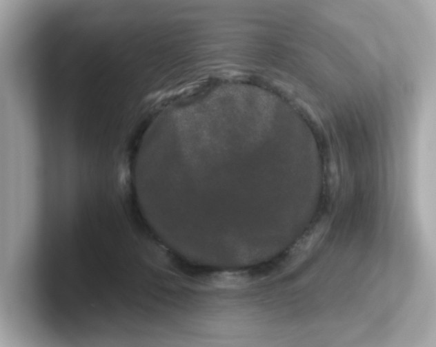 X0000101100320200807241033