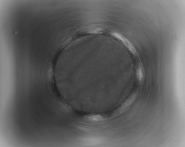 X0000101100322200807241033
