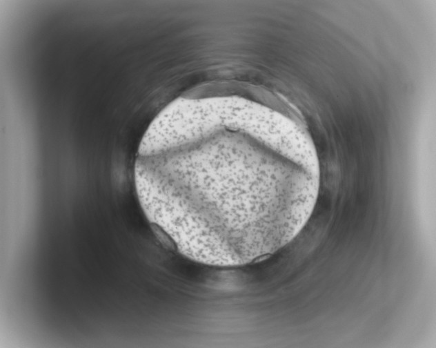 X0000101100324200807241033