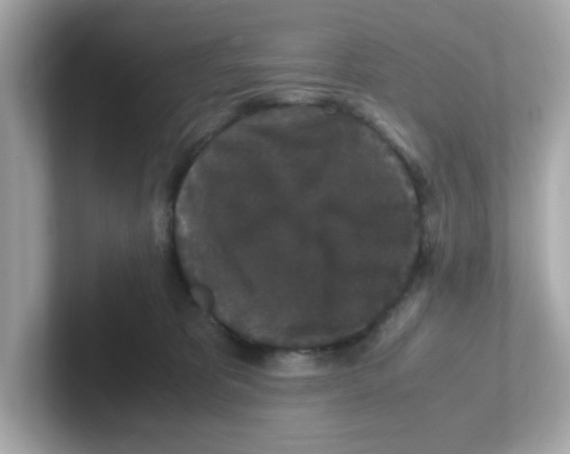 X0000101100325200807241033