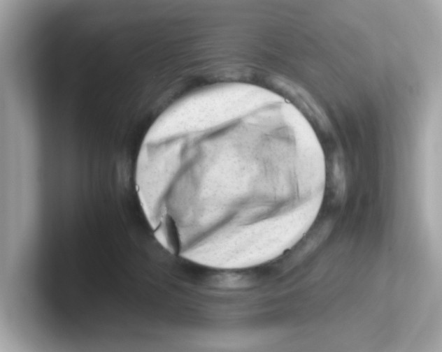 X0000101100326200807241033