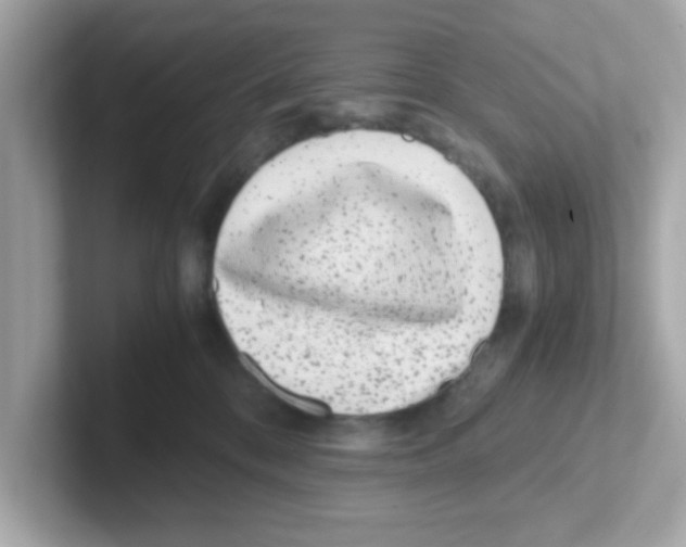 X0000101100328200807241033