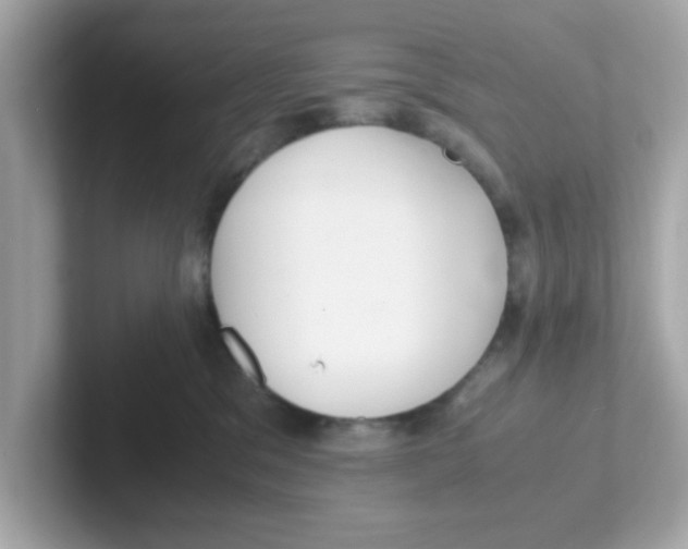 X0000101100329200807241033