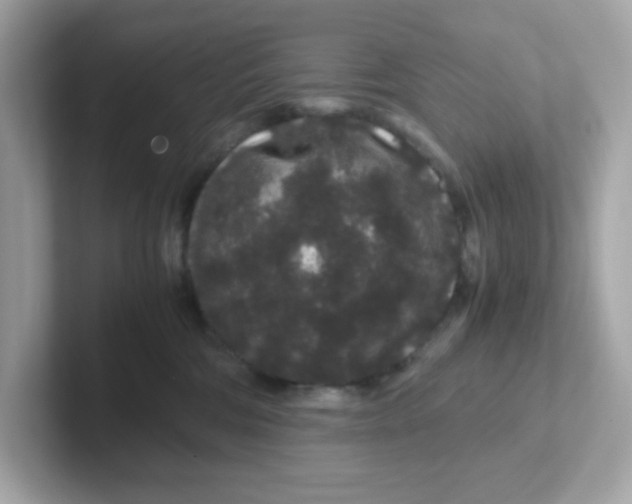 X0000101100330200807241033