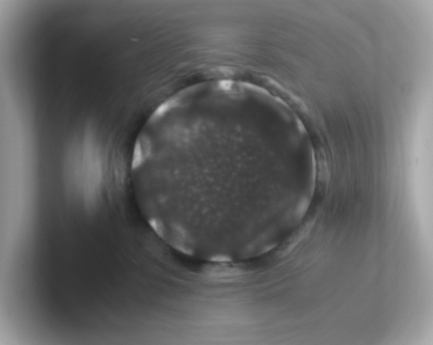 X0000101100331200807241033