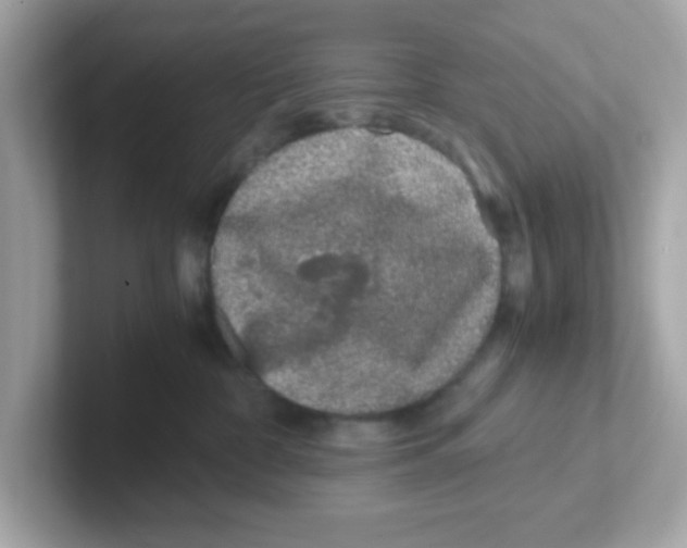 X0000101100332200807241033