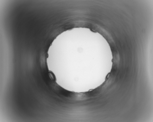 X0000101100333200807241033