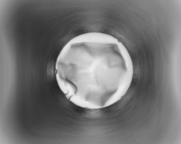 X0000101100334200807241033