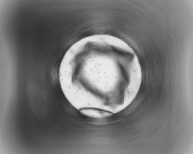 X0000101100335200807241033