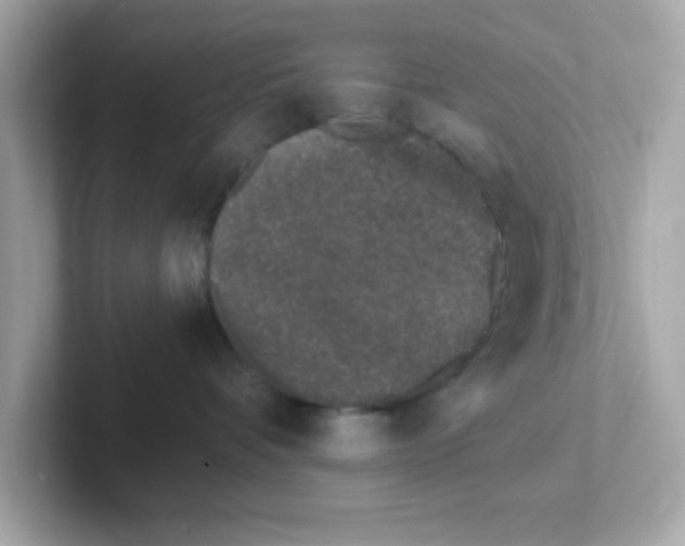 X0000101100336200807241033