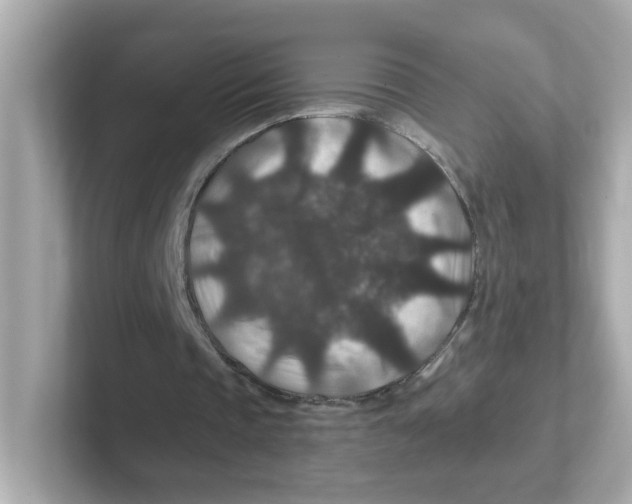 X0000101100337200807241032