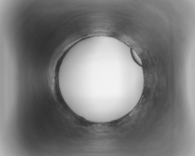 X0000101100338200807241032
