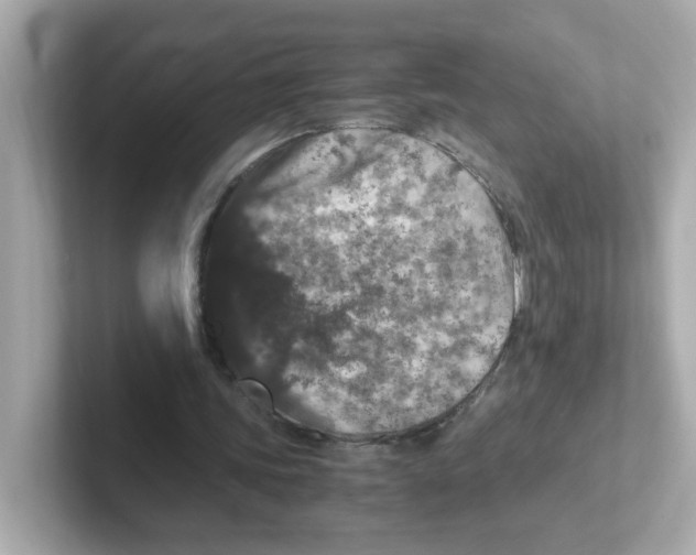 X0000101100339200807241032