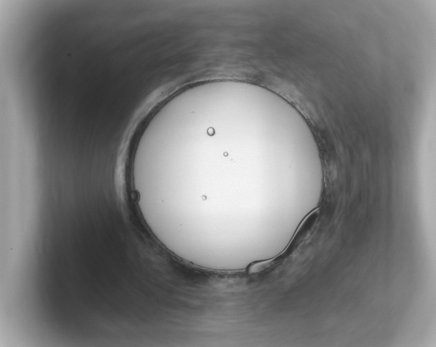 X0000101100340200807241032