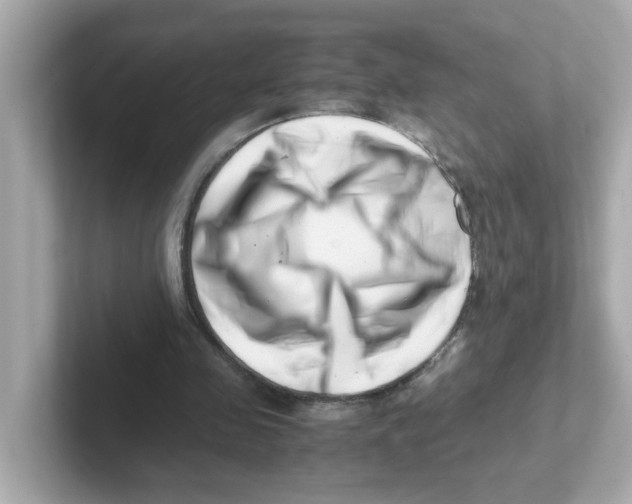 X0000101100341200807241032