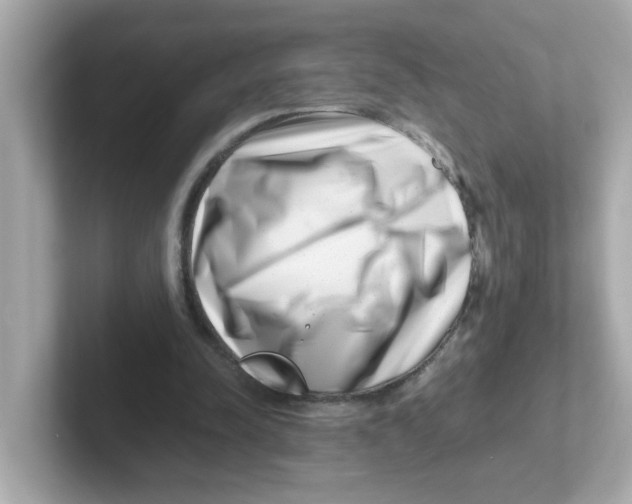 X0000101100342200807241032