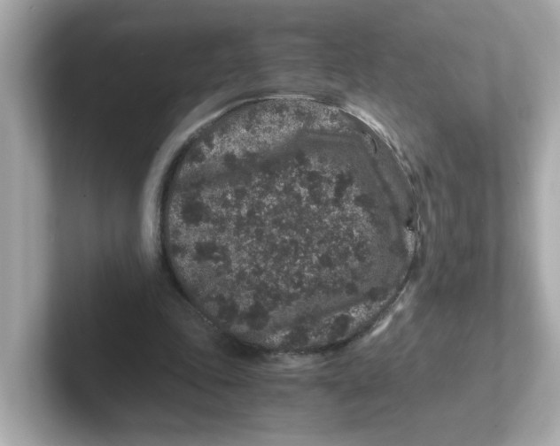 X0000101100343200807241032