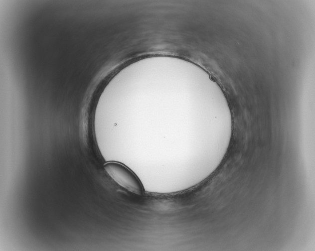 X0000101100344200807241032