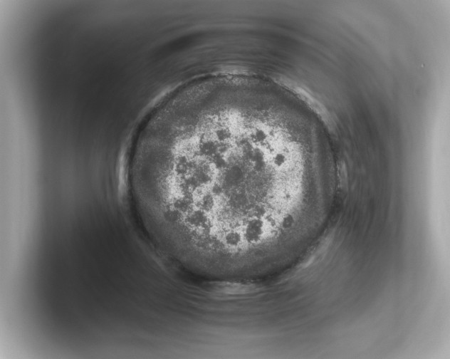 X0000101100347200807241032